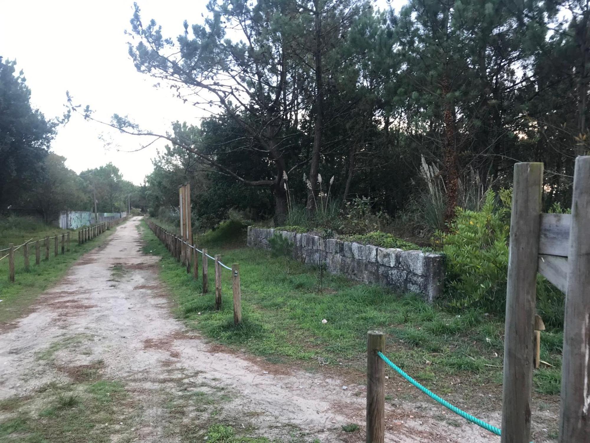 Arvore Cozy Com Jardim Εξωτερικό φωτογραφία