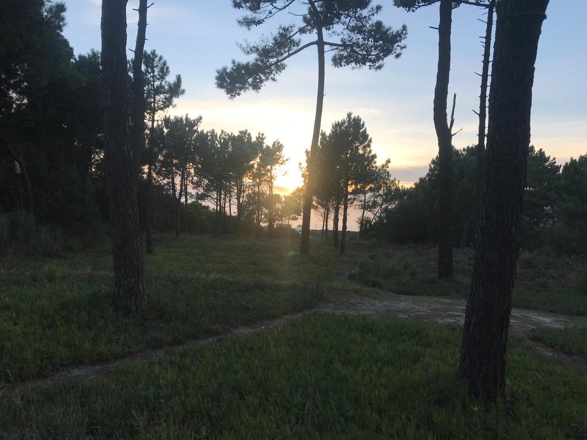 Arvore Cozy Com Jardim Εξωτερικό φωτογραφία